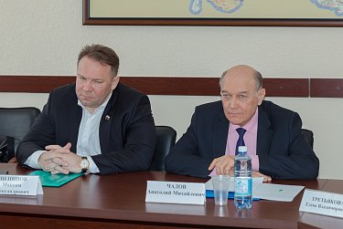 Депутаты оценят работу Анатолия Чадова